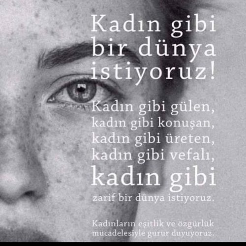 FB_IMG_1552033096531