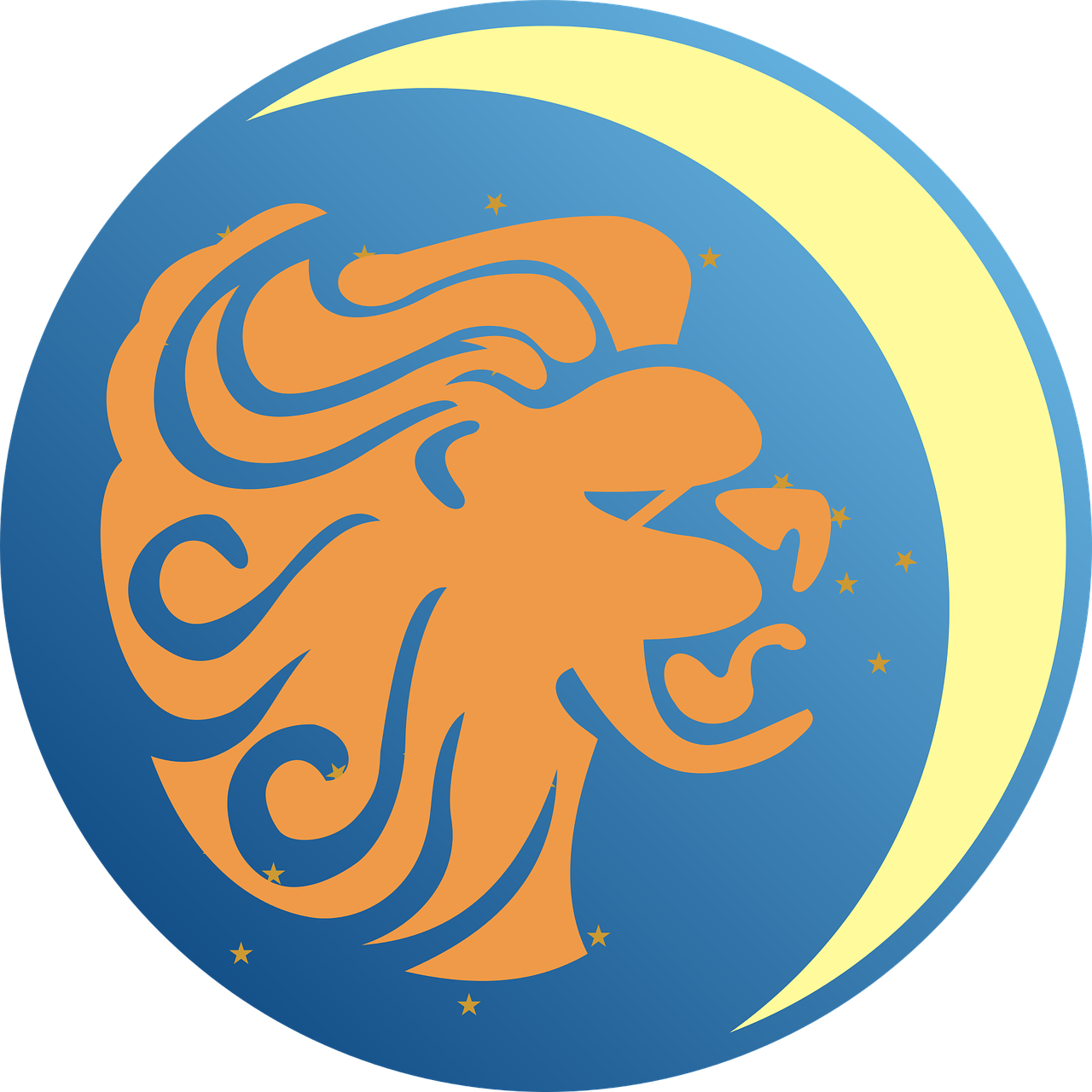 aslan-burcu-2020