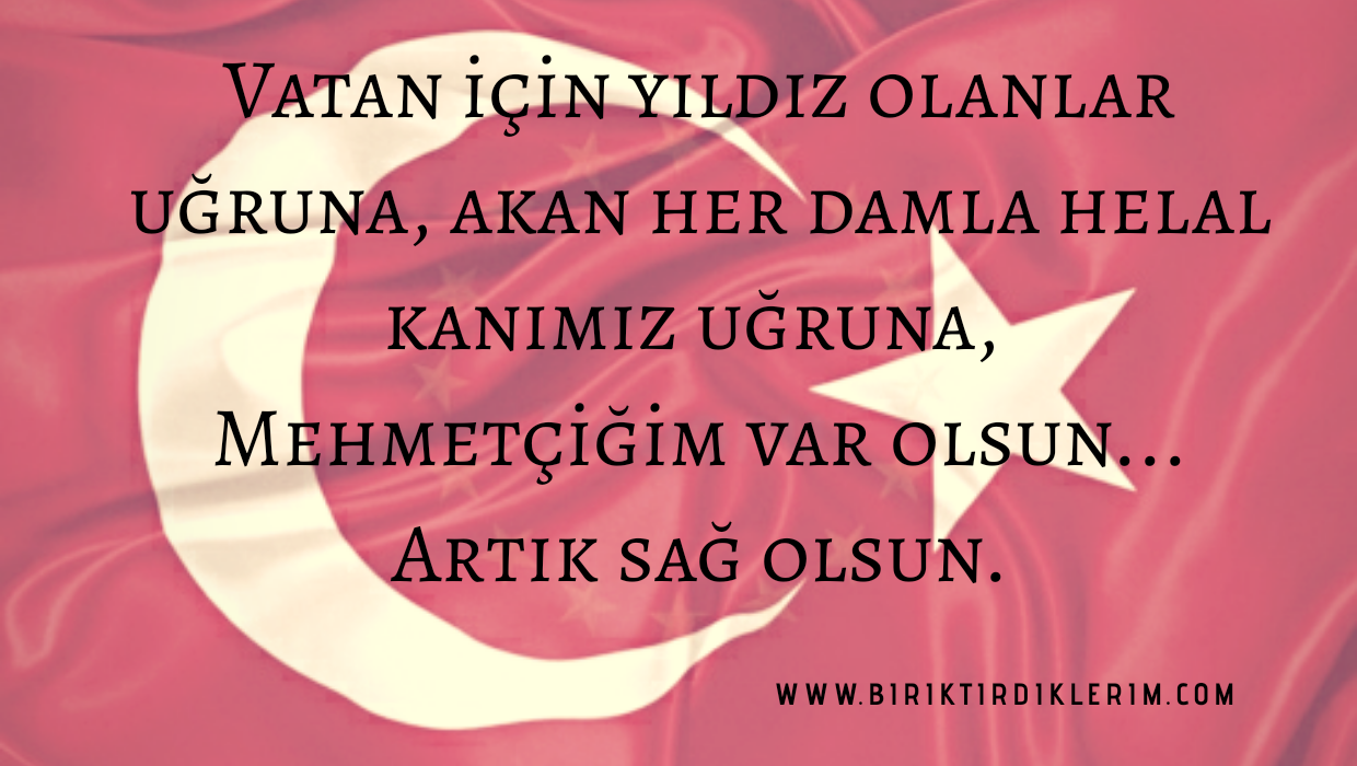 sehidimiz-var