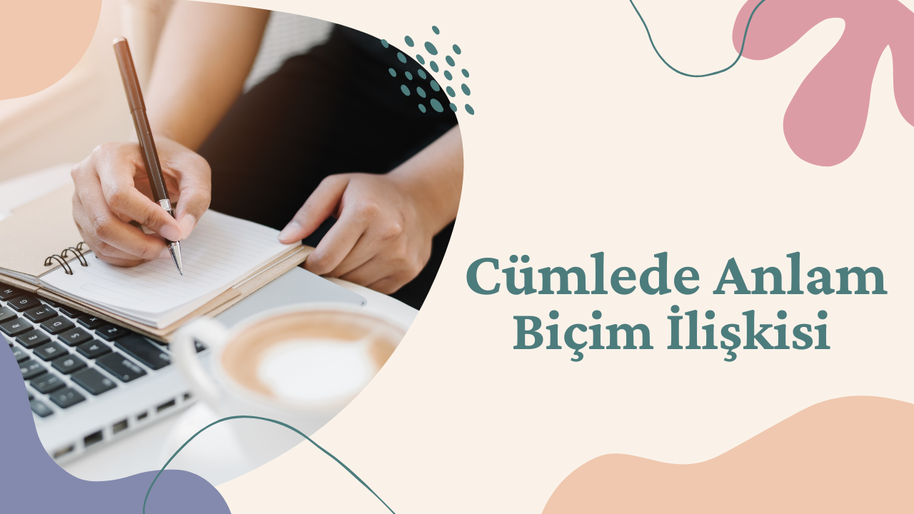 cümlede anlam biçim ilişkisi