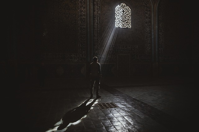 kamil insan
