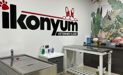 İkonyum Veteriner Kliniği
