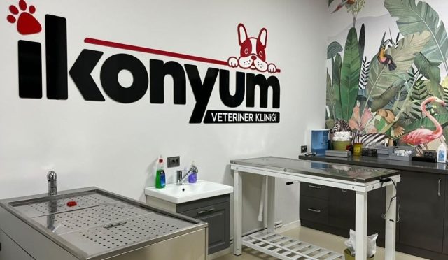 İkonyum Veteriner Kliniği: Evcil Hayvanlarınız İçin Modern ve Şefkatli Bakımın Merkezi