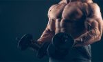steroid4