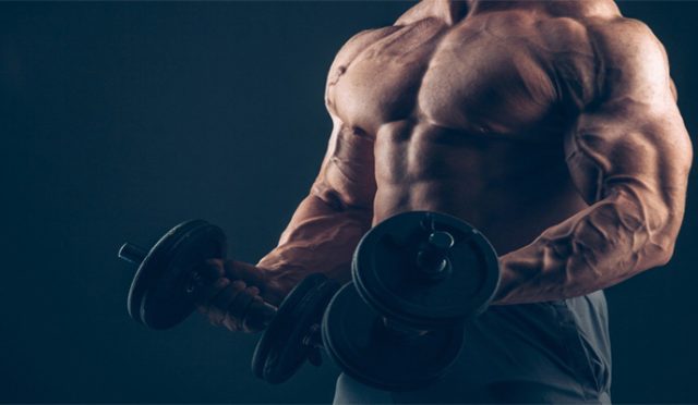 steroid4