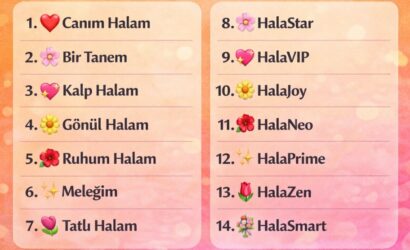 halayı telefona kaydetme