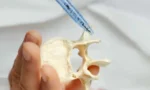 nukleoplasti2